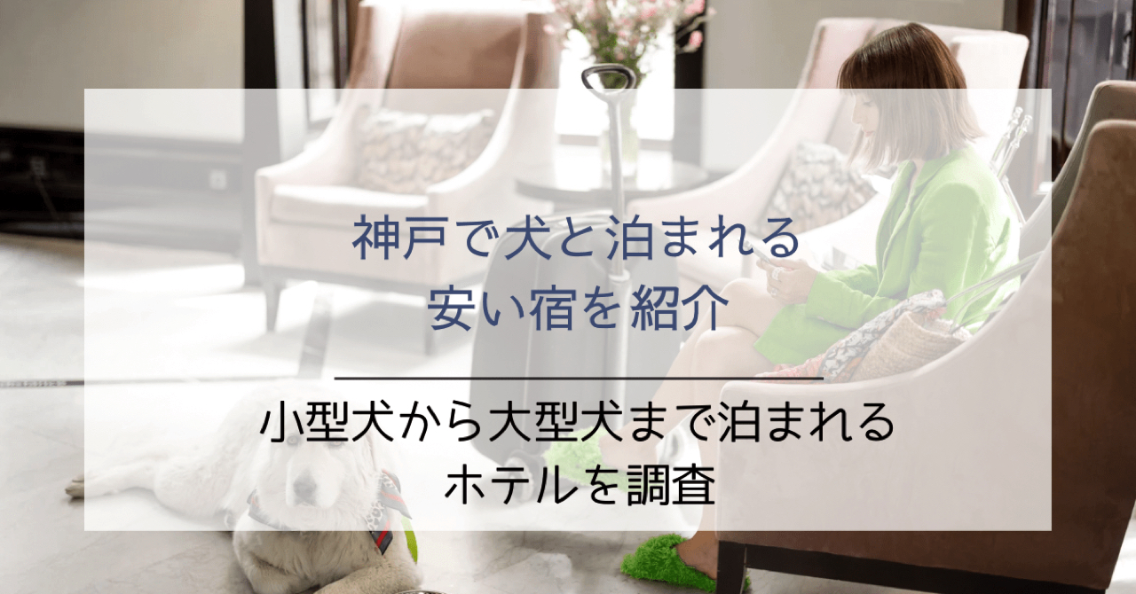 神戸で犬と泊まれる安い宿3選！小型犬から大型犬までペットと泊まれるホテルを調査